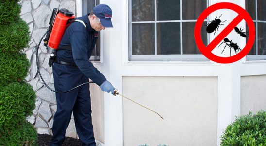Mucur Karınca İlaçlama böcek ilaçlama ve haşere kontrolü — ilaclama-tr.com